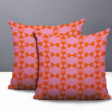 Stan Geo 2 Sets Indoor/Outdoor Reversible Square Pillow