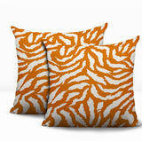 Tory Zebra Print Indoor/Outdoor Reversible Square Pillow
