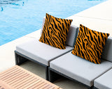 Valerie Zebra Print Indoor/Outdoor Reversible Square Pillow
